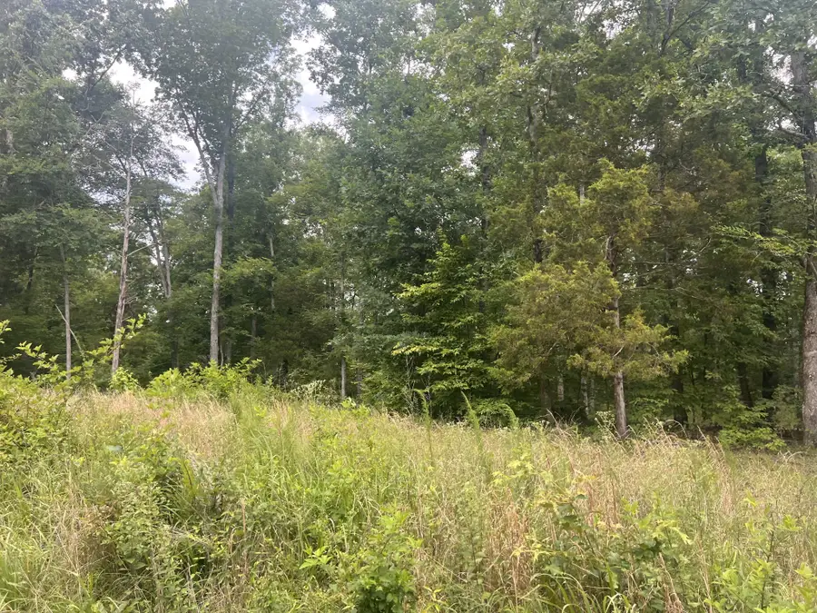 5 Lakeview Drive, Linden, TN 37096 - #2