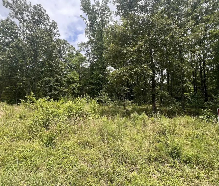 5 Lakeview Drive, Linden, TN 37096 - #3