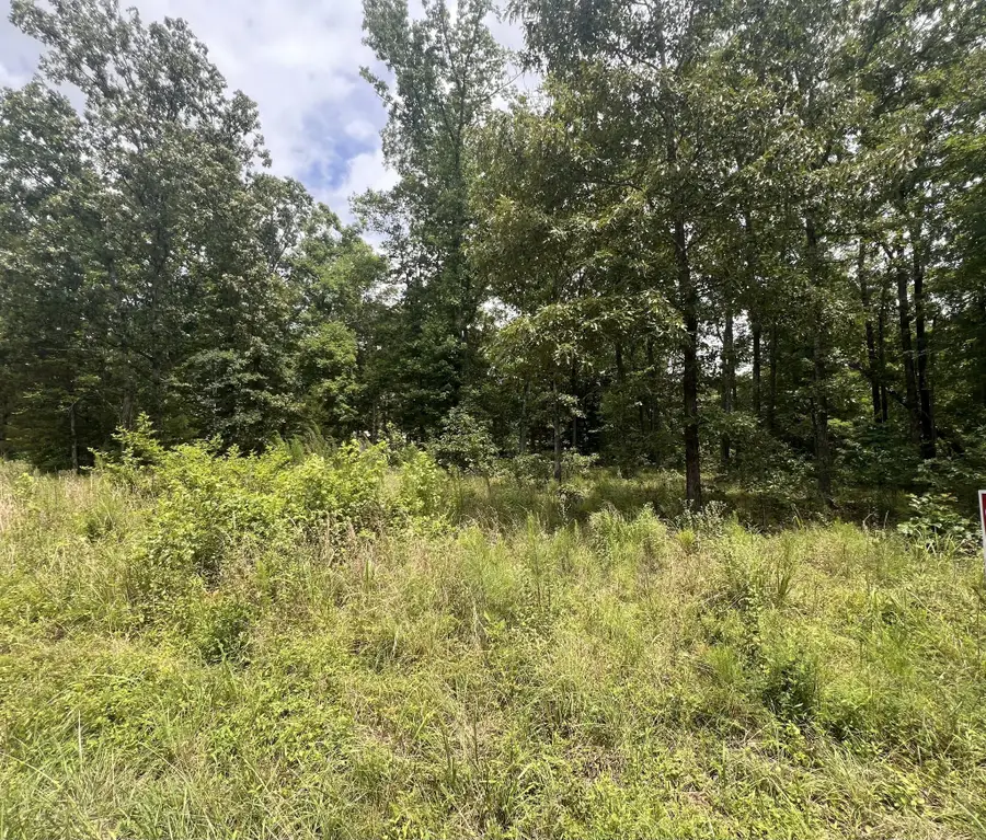2 Lakeview Drive, Linden, TN 37096 - #3