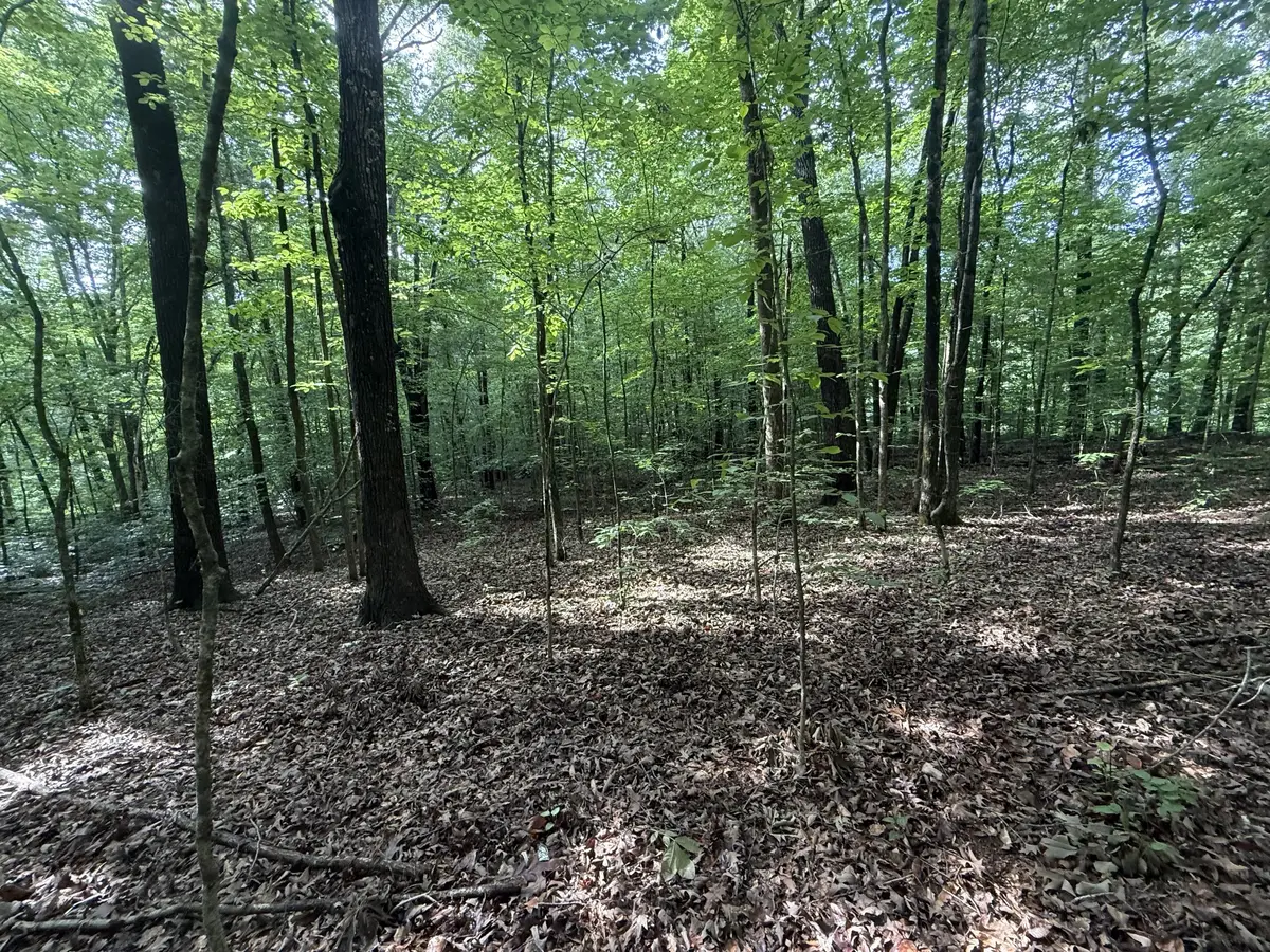 0 Caney Creek Rd, Stewart, TN 37175 - #1