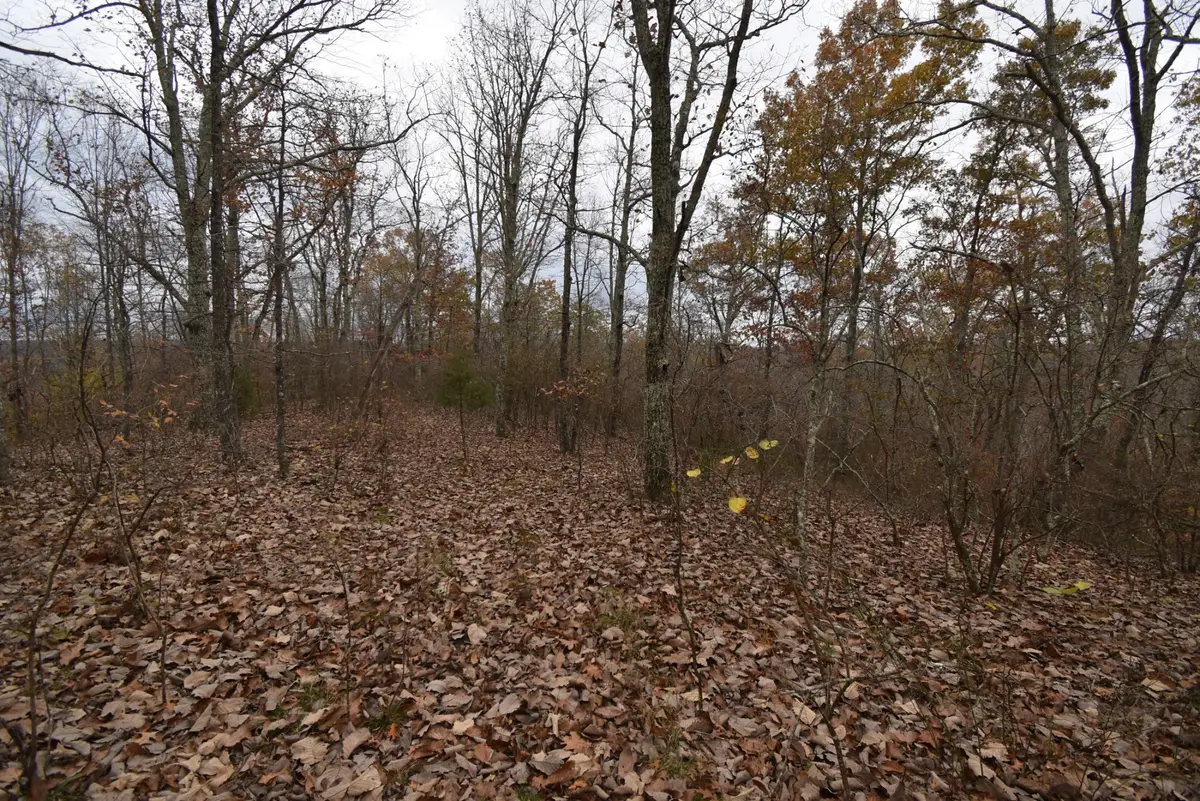 0 Depriest Bend Dr, Lobelville, TN 37097 - #1