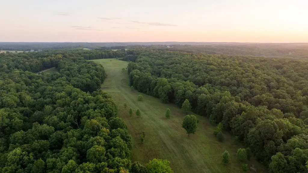 0 Shoals Branch Rd, Primm Springs, TN 38476 - #1