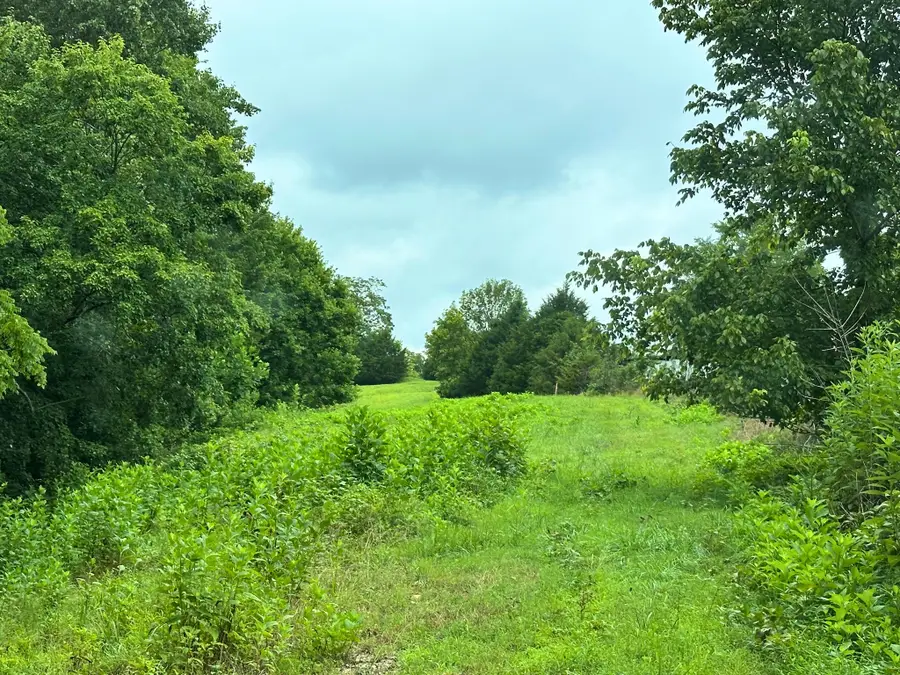 0 Pea Ridge Rd, Chestnut Mound, TN 38552 - #2
