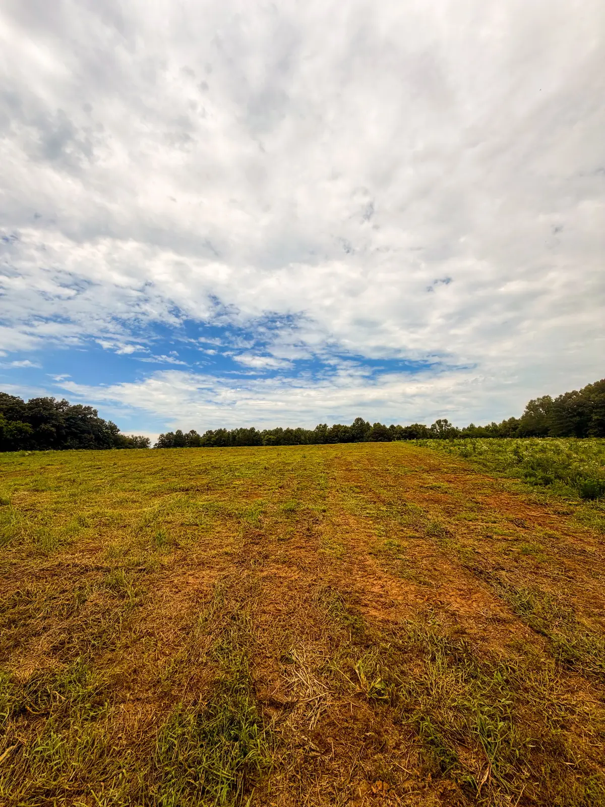 520 Ferrell Rd, Smithville, TN 37166 - #1