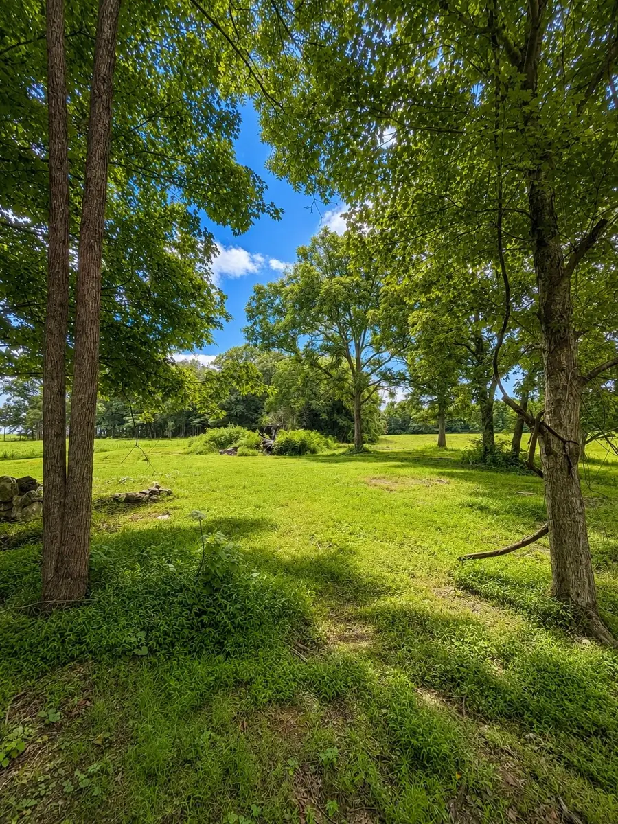 520 Ferrell Rd, Smithville, TN 37166 - #2