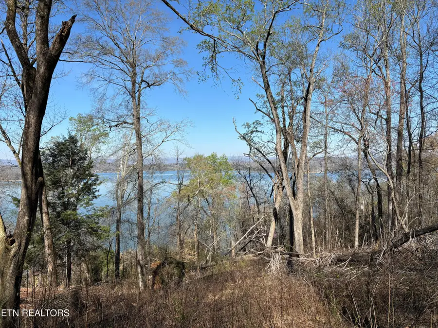 38 Johnson Lane, Ten Mile, TN 37880 - #2