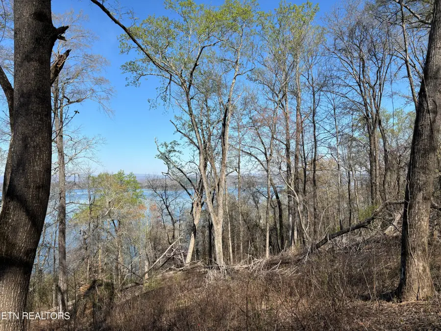 38 Johnson Lane, Ten Mile, TN 37880 - #3