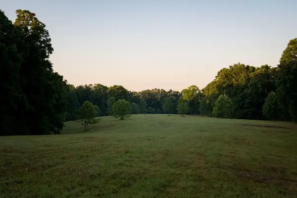 0 Shoals Branch Rd, Primm Springs, TN 38476