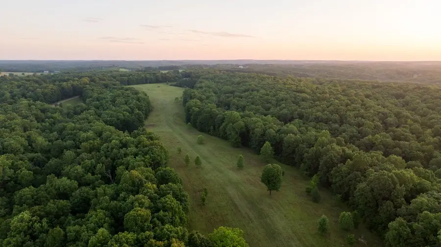 0 Shoals Branch Rd, Primm Springs, TN 38476 - #2