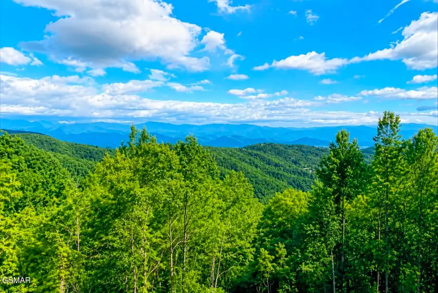 1130 Ski View Drive #UNIT 305, Gatlinburg, TN 37738 - #2