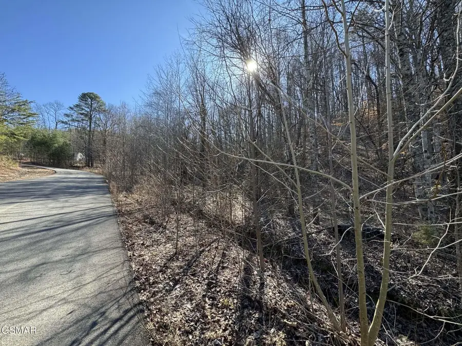 27 Blue Springs Way, Newport, TN 37821 - #2