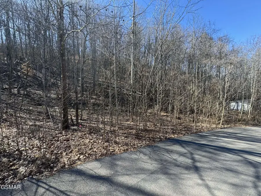 27 Blue Springs Way, Newport, TN 37821 - #3
