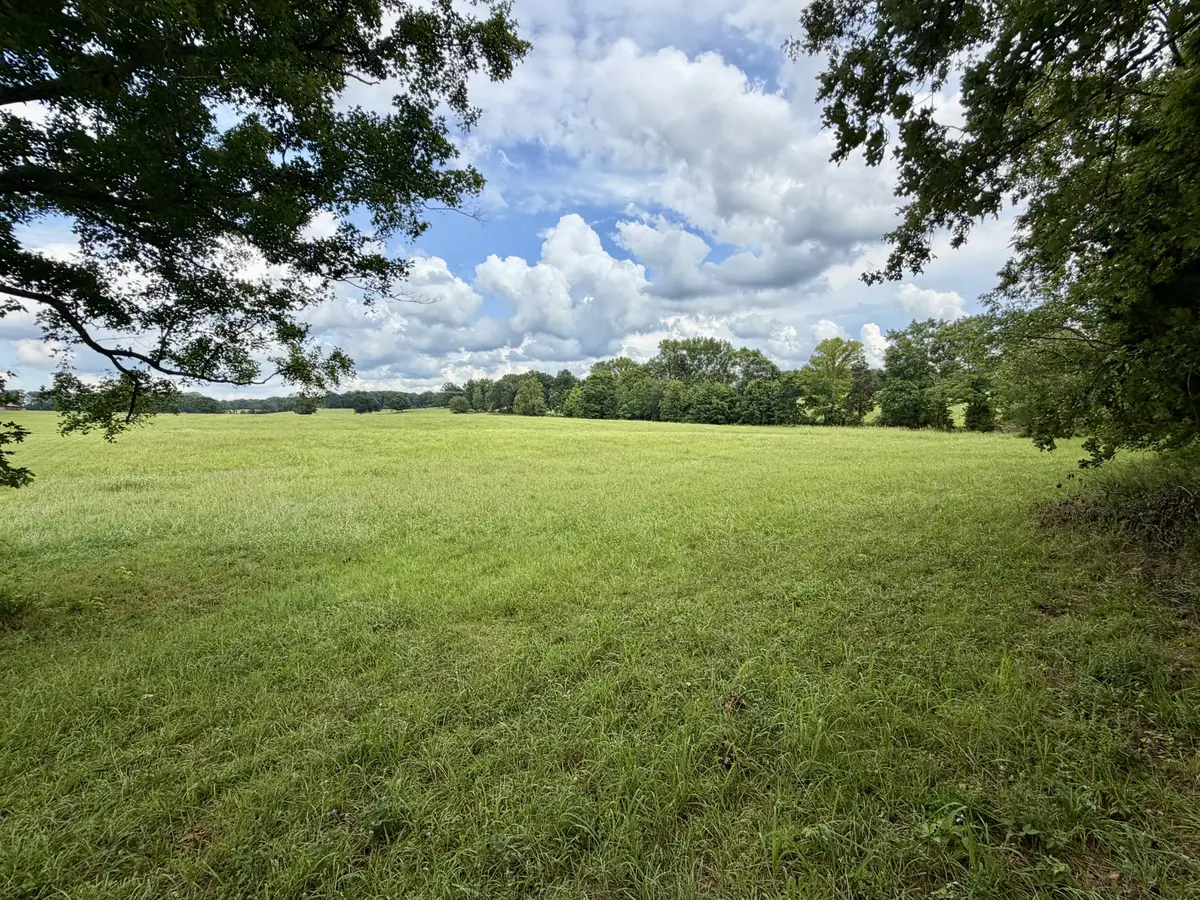 0 Cooley Ford Rd, Tennessee Ridge, TN 37178 - #1