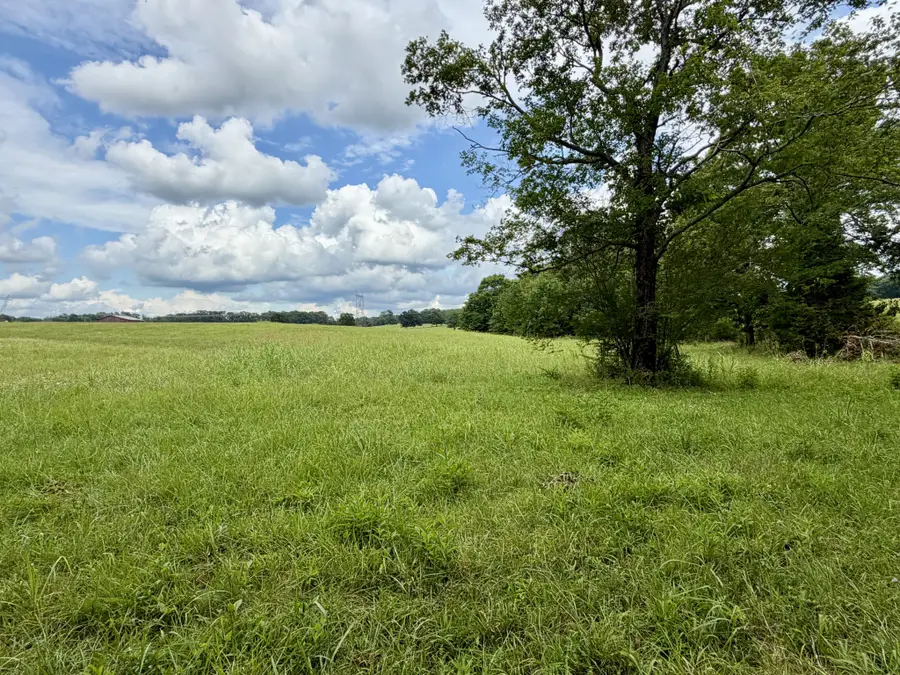 0 Cooley Ford Rd, Tennessee Ridge, TN 37178 - #3