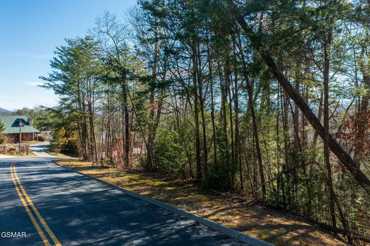 40 Kings Hills Blvd, Pigeon Forge, TN 37863 - #1