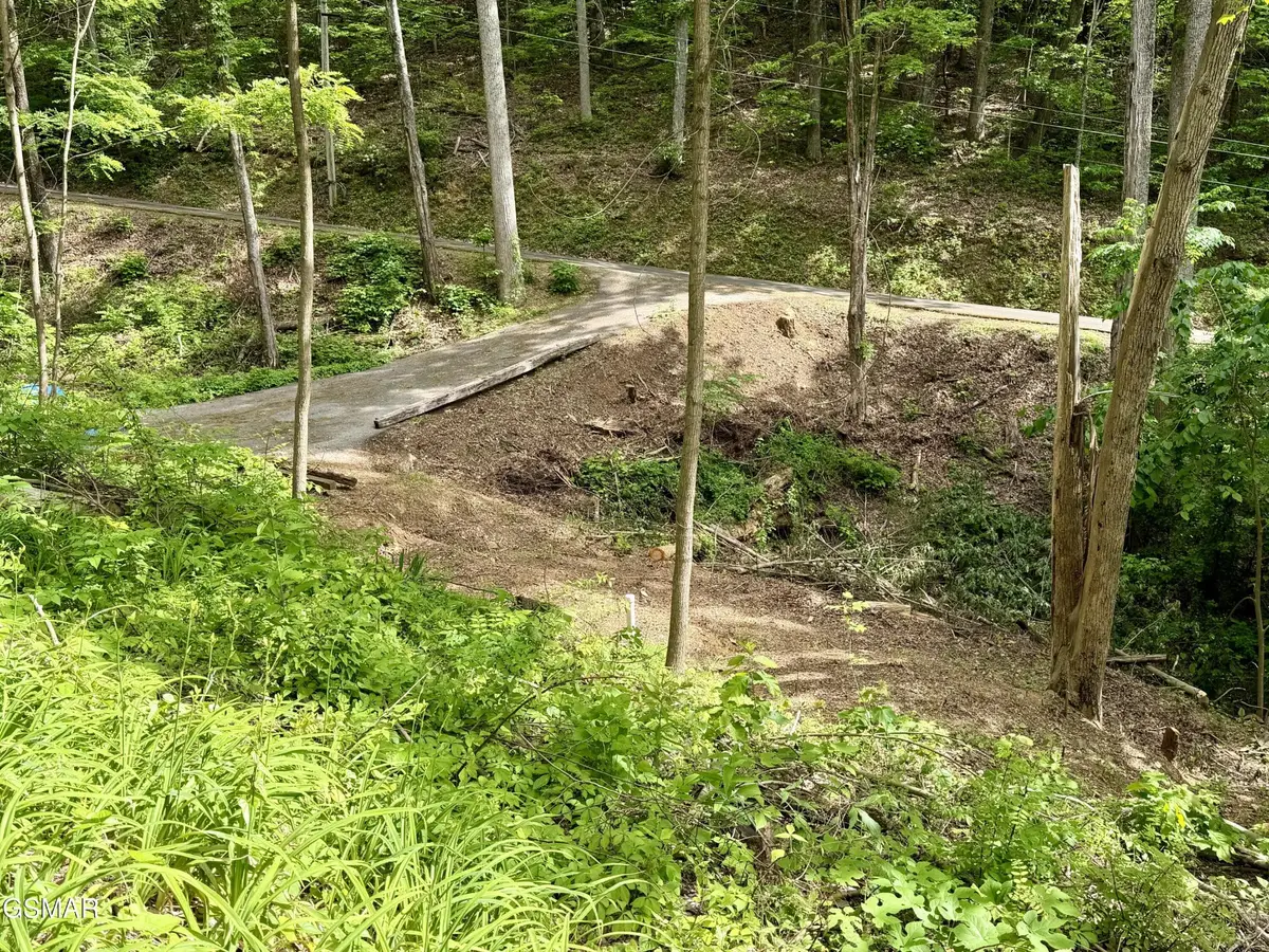 807 Old New Ground Road, Gatlinburg, TN 37738 - #1