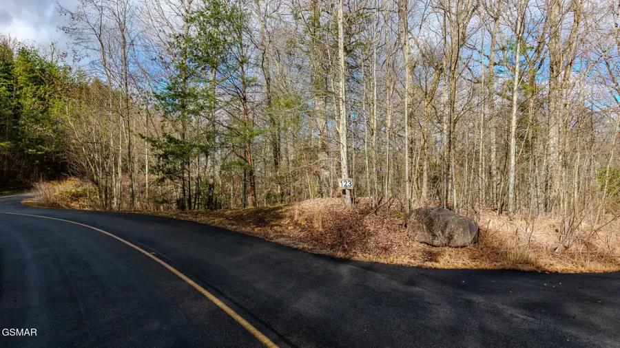 123 Long Rifle Road, Sevierville, TN 37862 - #3