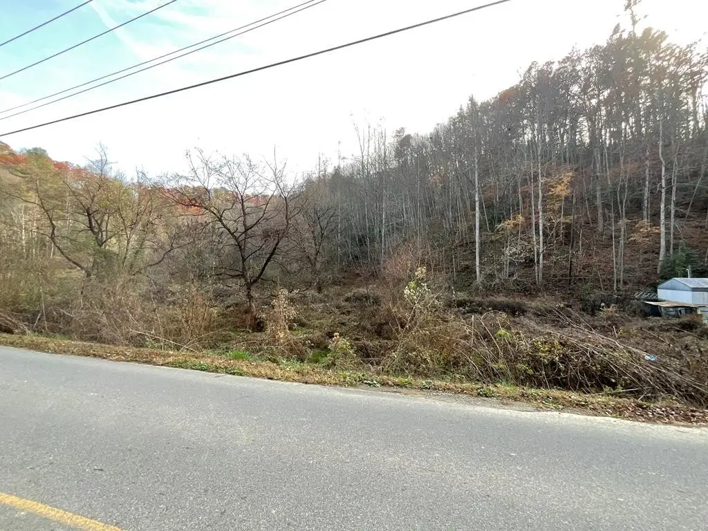 0 Boogertown Road, Sevierville, TN 37876 - #1