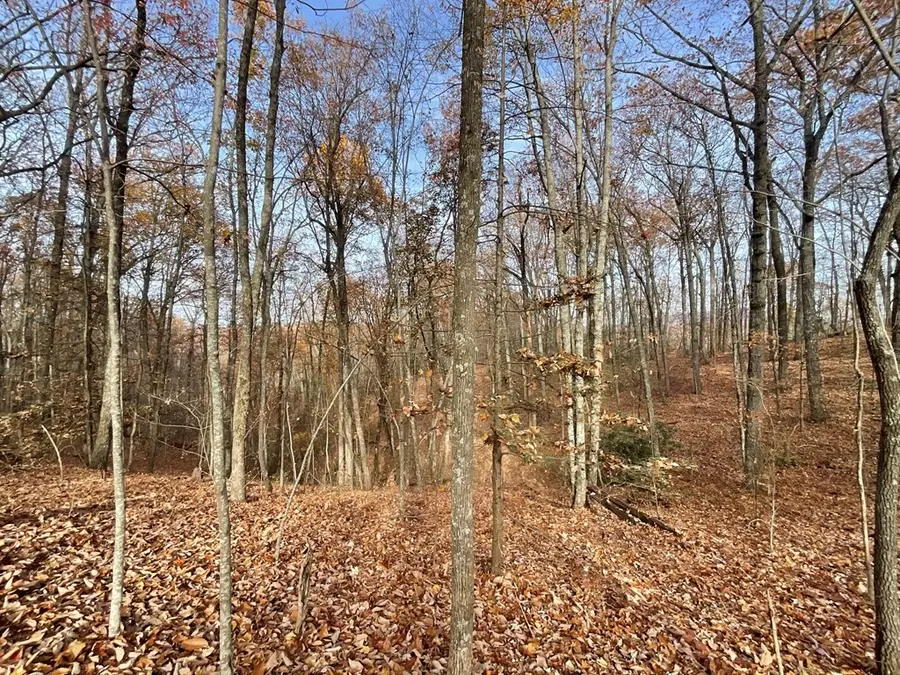 0 Boogertown Road, Sevierville, TN 37876 - #3