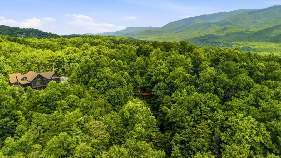820 Pinnacle Vista Rd, Gatlinburg, TN 37738 - #3