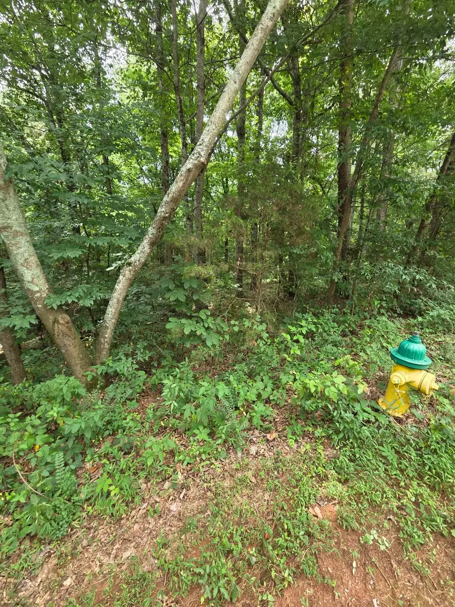 0 Callen Cove, Athens, TN 37303 - #3