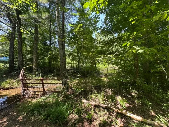 1881 Morris Rd, Holladay, TN 38341 - #3
