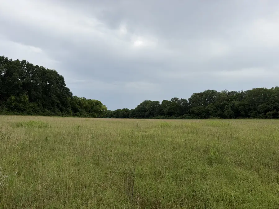 0 Massey Road, Mount Pleasant, TN 38474 - #2