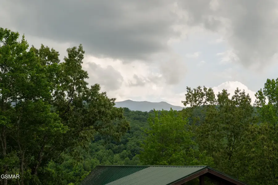 314 Brown Wren Way, Gatlinburg, TN 37738 - #3