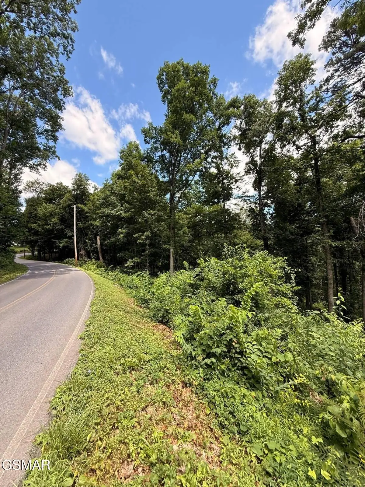 12 Cherokee Drive, Dandridge, TN 37725 - #1