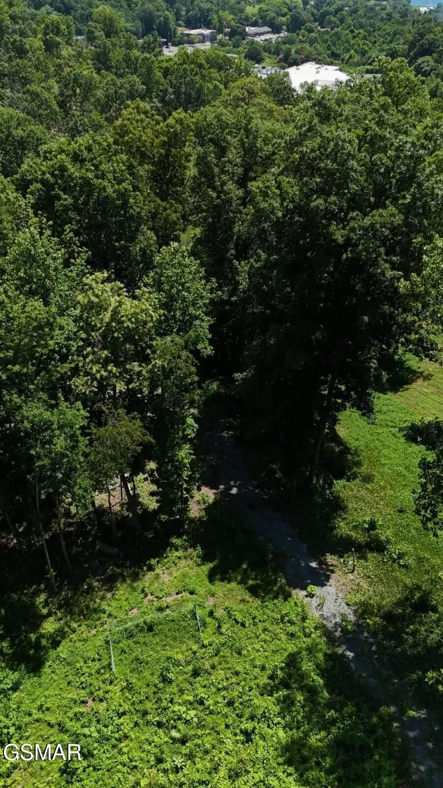 12 Cherokee Drive, Dandridge, TN 37725 - #3