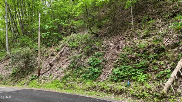 27 Black Walnut Flats Road, Sevierville, TN 37876