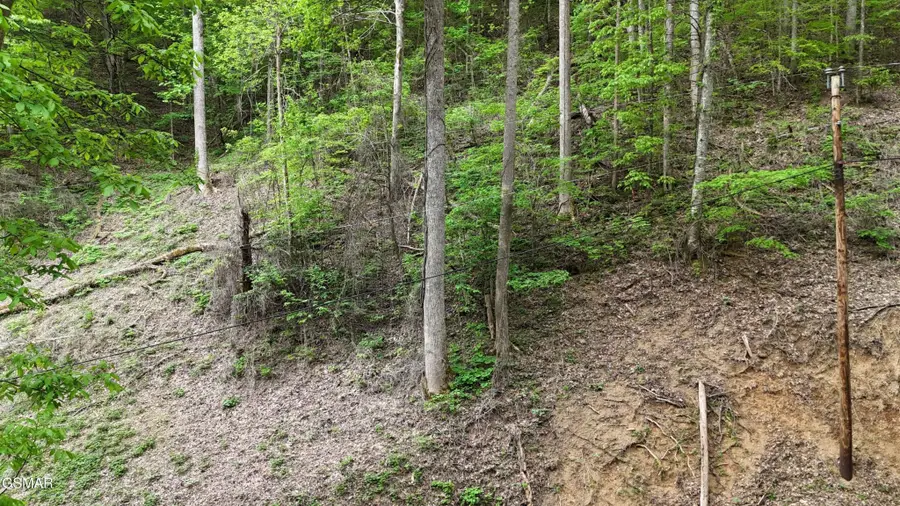 33 Black Walnut Flats Road, Sevierville, TN 37876 - #2