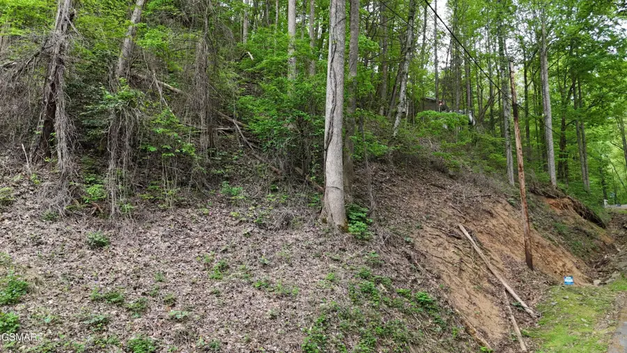 33 Black Walnut Flats Road, Sevierville, TN 37876 - #3
