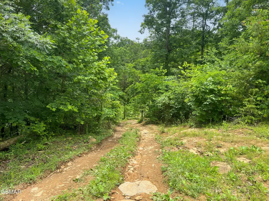 185 Green Road, Bulls Gap, TN 37711 - #2