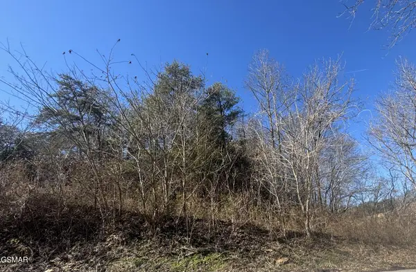 4 Rule Hollow Road, Sevierville, TN 37876