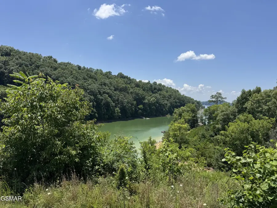 30 Stone Shore Way, Dandridge, TN 37725 - #2