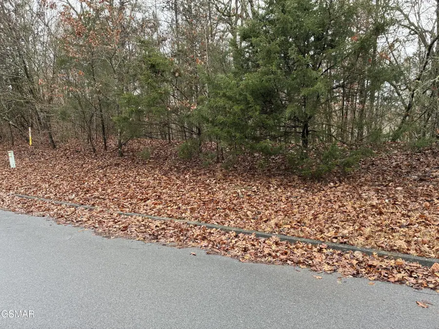 0 Longspur Trl Trail, Sevierville, TN 37876 - #2
