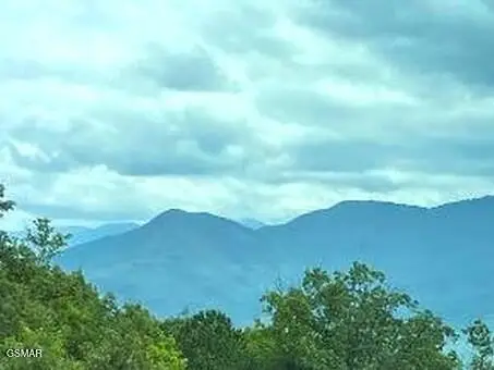 1130 Ski View Drive #UNIT 109, Gatlinburg, TN 37738 - #2