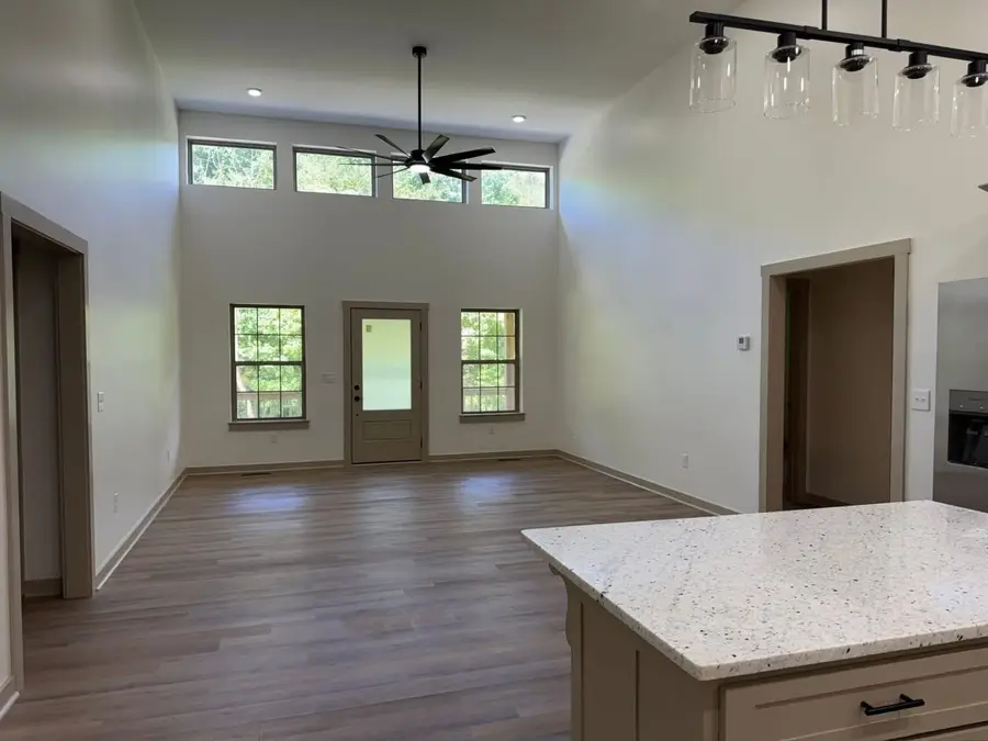 82 Scanty Branch Rd, Dixon Springs, TN 37057 - #3