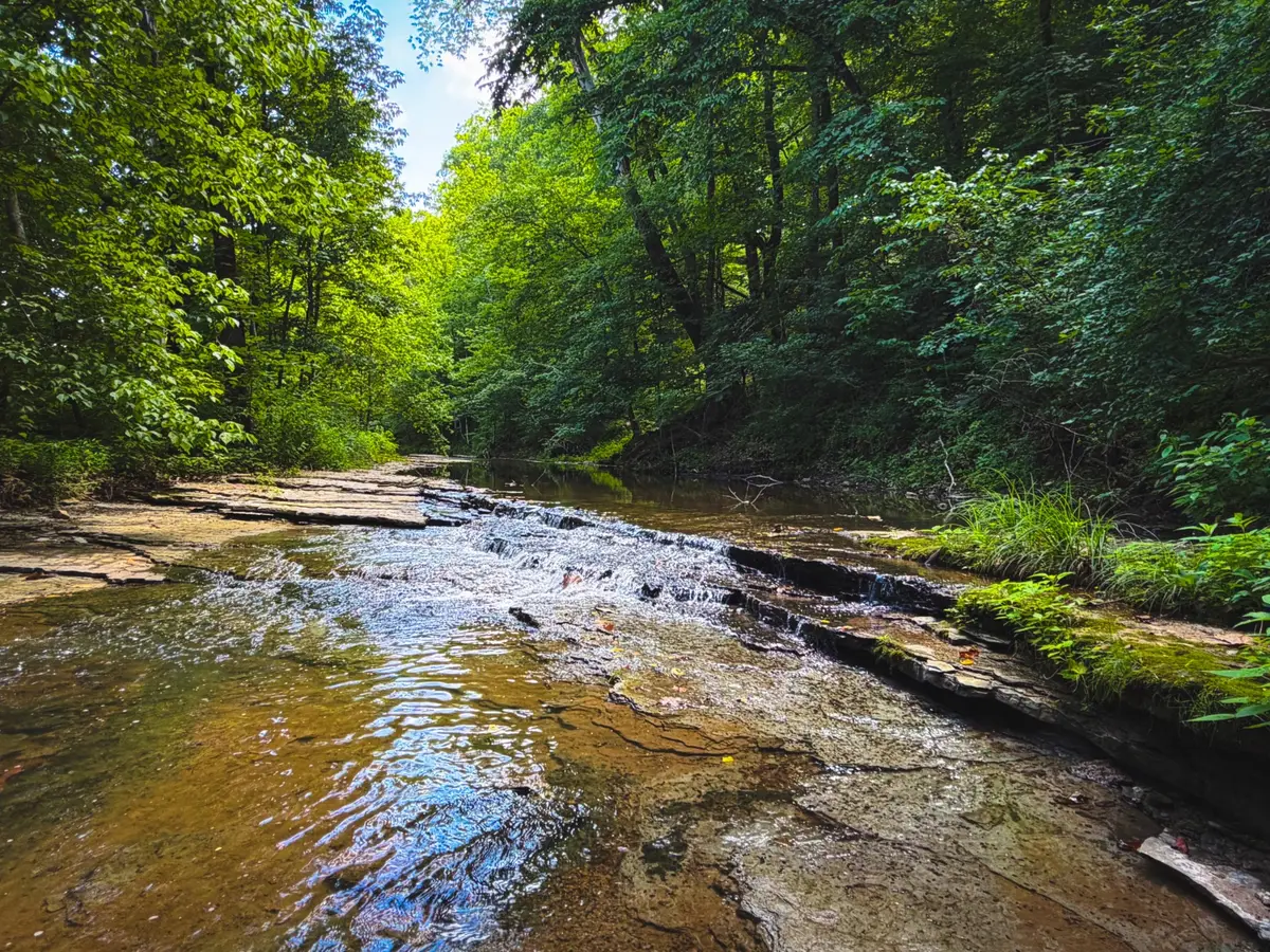 5 N Lick Creek Rd, Franklin, TN 37064 - #1