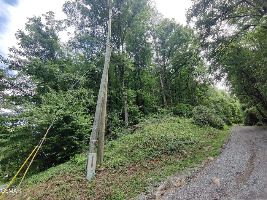 0 Old Hag Hollow Way, Sevierville, TN 37876 - #2