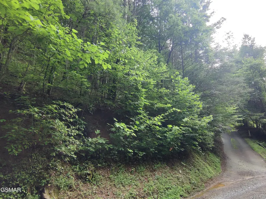 0 Old Hag Hollow Way, Sevierville, TN 37876 - #3