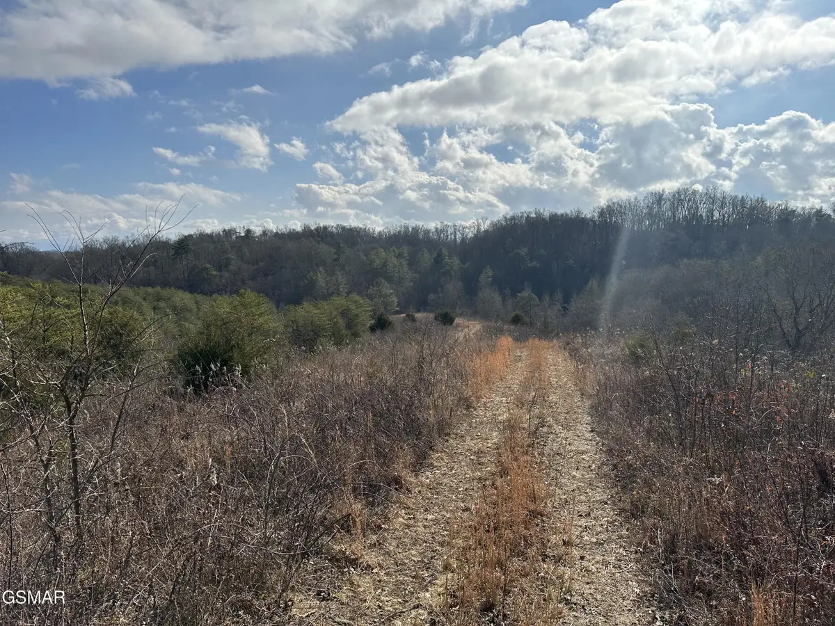 0 Leatherwood Road, Sevierville, TN 37876 - #1
