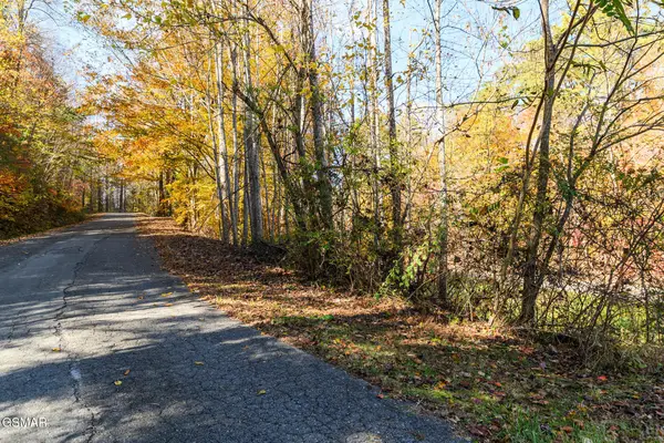 1 Jones Cove Road, Cosby, TN 37722