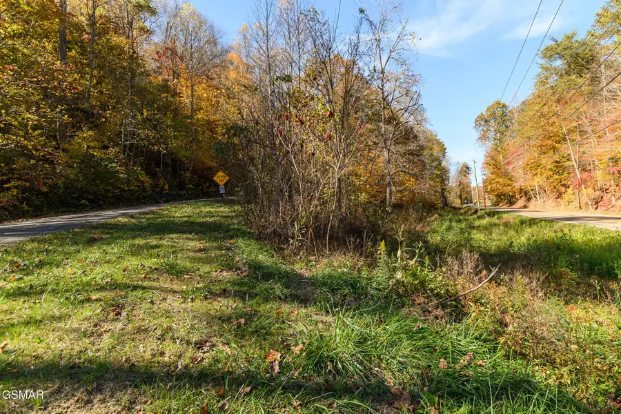 1 Jones Cove Road, Cosby, TN 37722 - #3