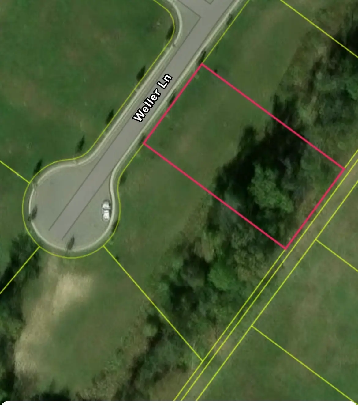 8757 Weller Ln, College Grove, TN 37046 - #1