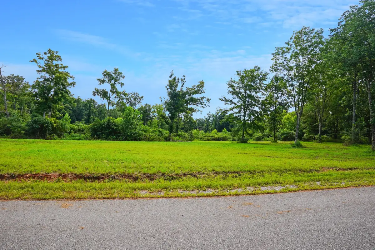 5 Peachers Lane, Indian Mound, TN 37079 - #1