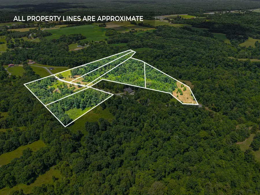 7 Peachers Lane, Indian Mound, TN 37079 - #3