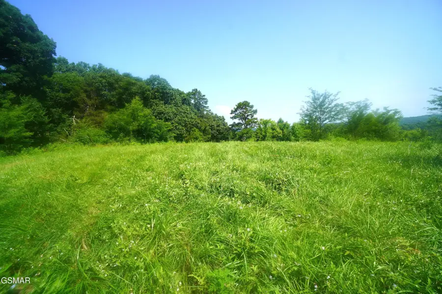 0 Old Greeneville Highway, Parrottsville, TN 37843 - #2