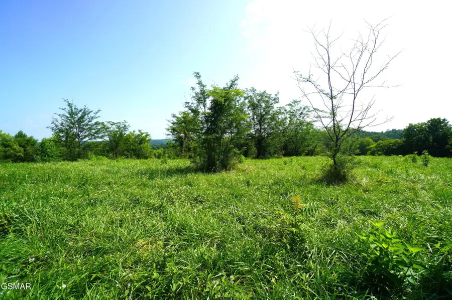 0 Old Greeneville Highway, Parrottsville, TN 37843 - #3